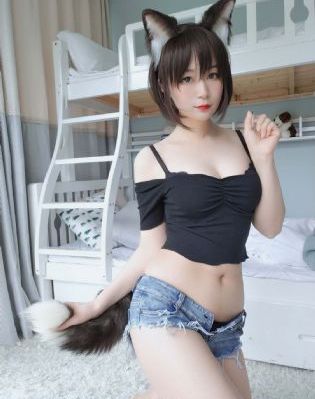 展翼2