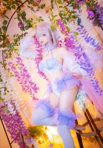 蜘蛛网2023