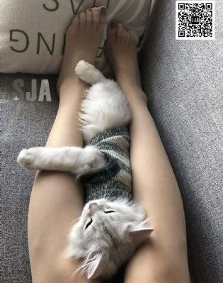 我就要你好好的【影视解说】