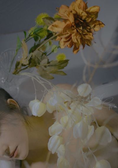 海上谋杀案第二季