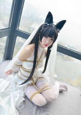 传承叶