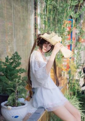 蝴蝶：成人世界